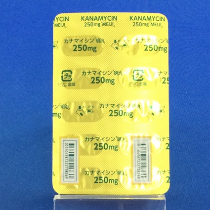 カナマイシンカプセル２５０ｍｇ「明治」