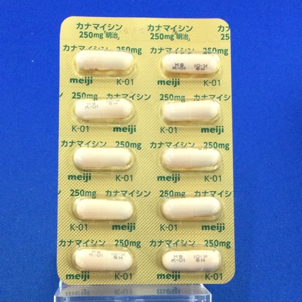 カナマイシンカプセル２５０ｍｇ「明治」