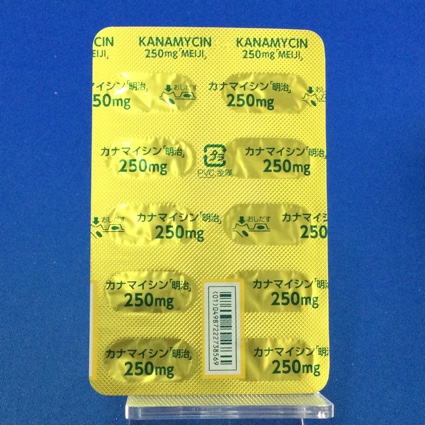 カナマイシンカプセル２５０ｍｇ「明治」