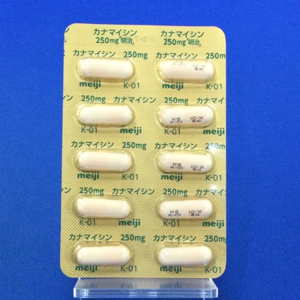 カナマイシンカプセル２５０ｍｇ「明治」