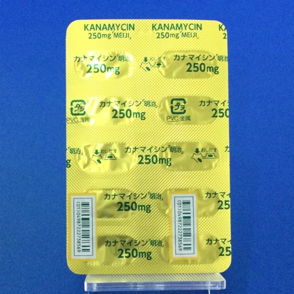 カナマイシンカプセル２５０ｍｇ「明治」