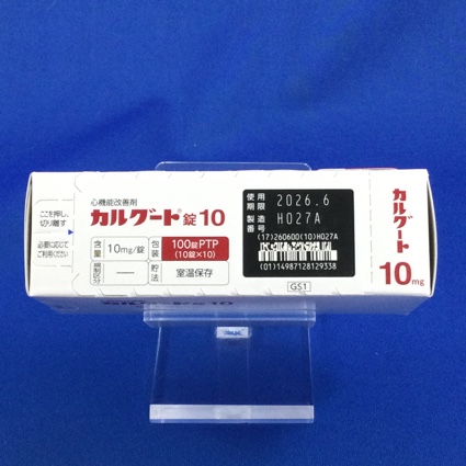 カルグート錠１０