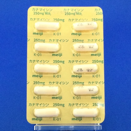 カナマイシンカプセル２５０ｍｇ「明治」