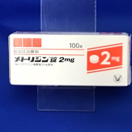メトリジン錠2mg