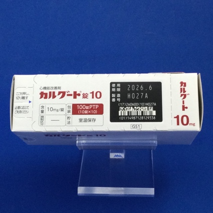 カルグート錠１０