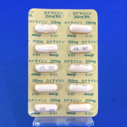カナマイシンカプセル２５０ｍｇ「明治」