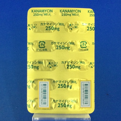カナマイシンカプセル２５０ｍｇ「明治」