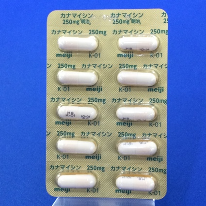 カナマイシンカプセル２５０ｍｇ「明治」