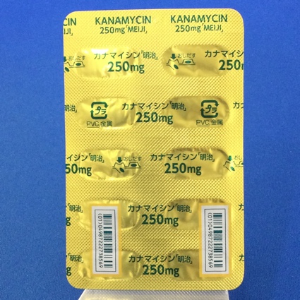 カナマイシンカプセル２５０ｍｇ「明治」