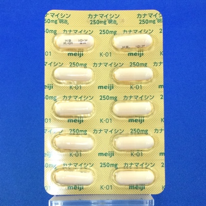 カナマイシンカプセル２５０ｍｇ「明治」