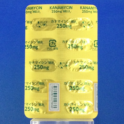 カナマイシンカプセル２５０ｍｇ「明治」