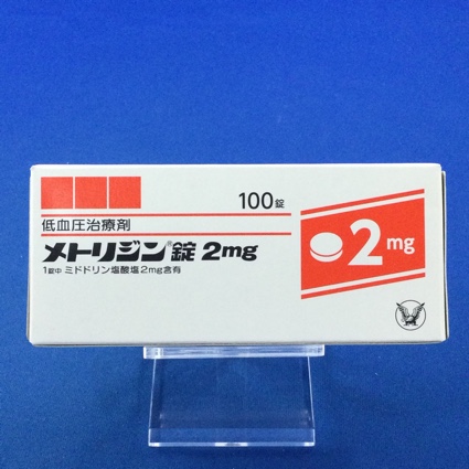 メトリジン錠２ｍｇ