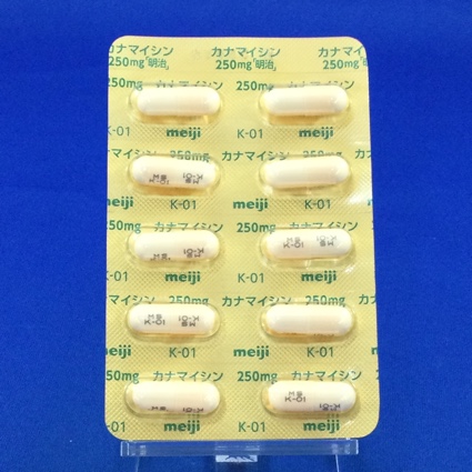 カナマイシンカプセル２５０ｍｇ「明治」