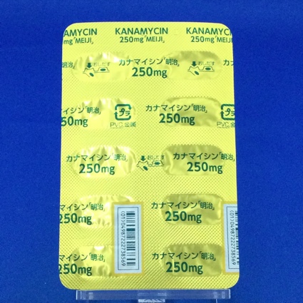 カナマイシンカプセル２５０ｍｇ「明治」