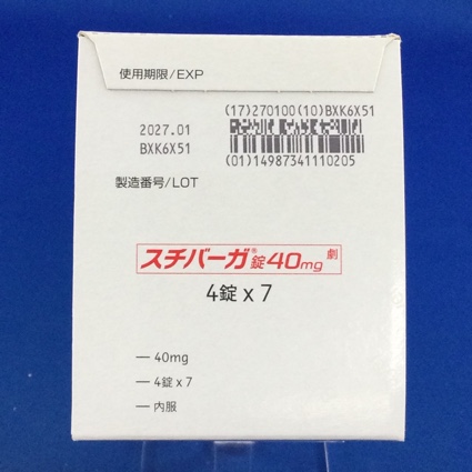 スチバーガ錠４０ｍｇ