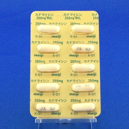 カナマイシンカプセル２５０ｍｇ「明治」