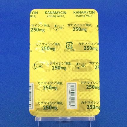 カナマイシンカプセル２５０ｍｇ「明治」