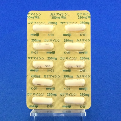 カナマイシンカプセル２５０ｍｇ「明治」