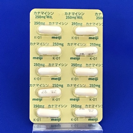 カナマイシンカプセル２５０ｍｇ「明治」