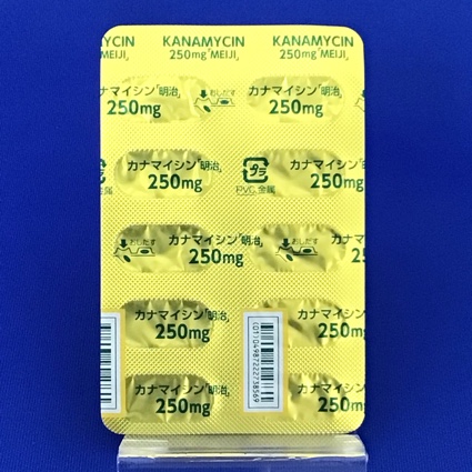 カナマイシンカプセル２５０ｍｇ「明治」