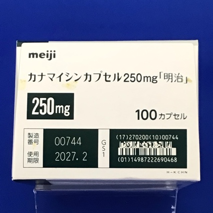 カナマイシンカプセル２５０ｍｇ「明治」