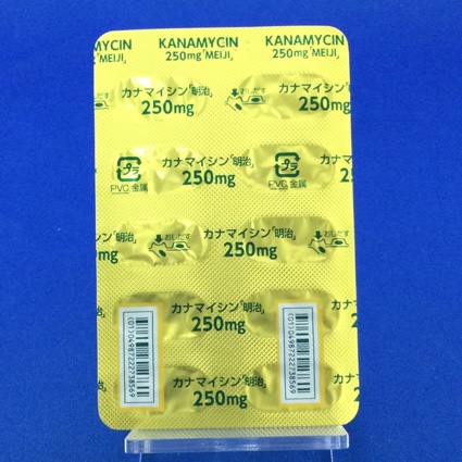 カナマイシンカプセル２５０ｍｇ「明治」